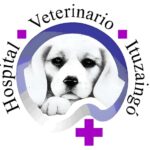 Hospital Veterinario Ituzaingo