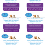 Centro Veterinario Mascotas Unir
